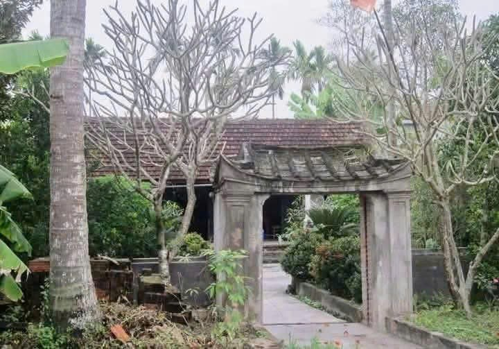 Nghệ An yêu cầu tổ chức trang trọng các hoạt động kỷ niệm 130 năm Ngày sinh đồng chí Hồ Tùng Mậu